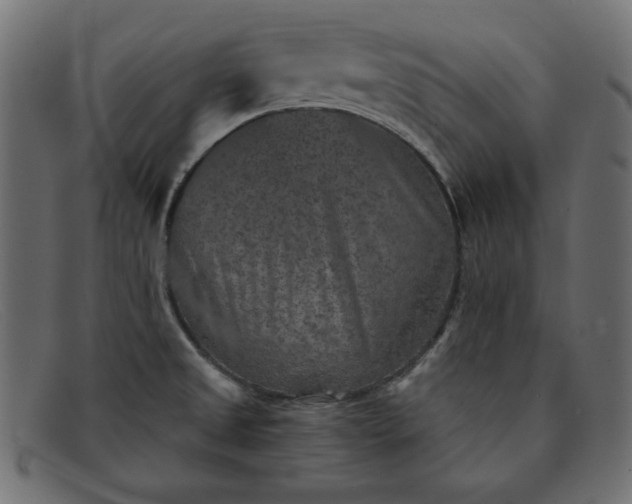 X0000091851525200709191046