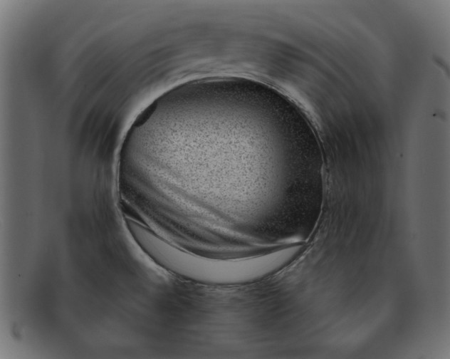 X0000091851528200709191046