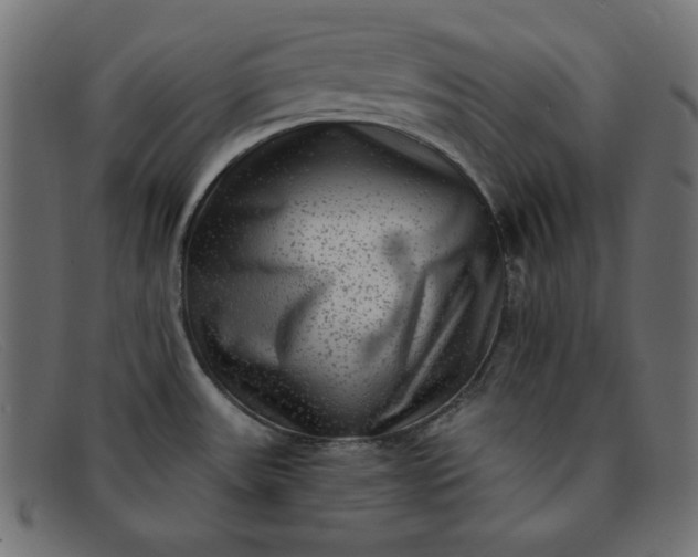 X0000091851531200709191046