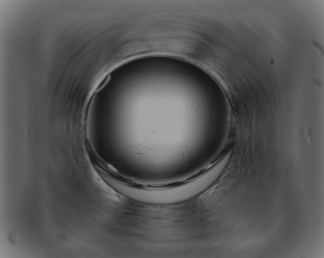 X0000091851532200709191046