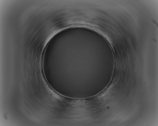X0000091851533200709191046