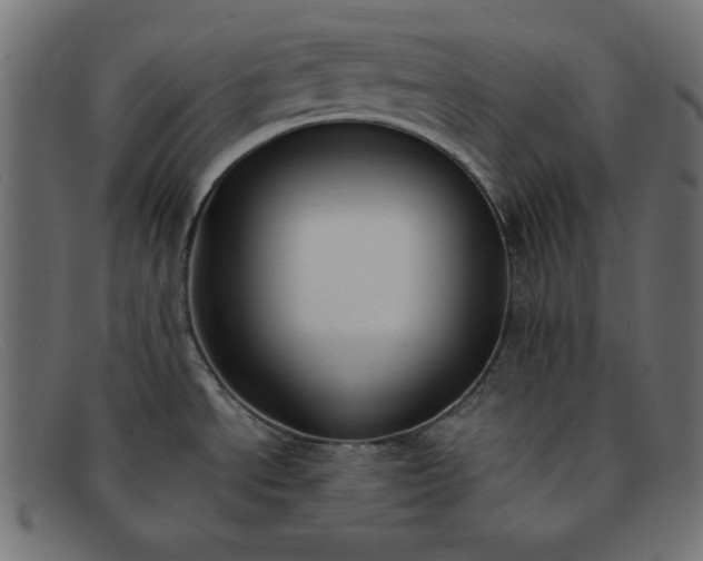 X0000091851534200709191046