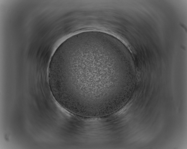 X0000091851535200709191046