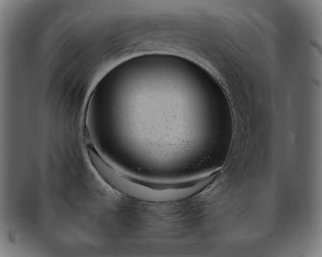 X0000091851536200709191046