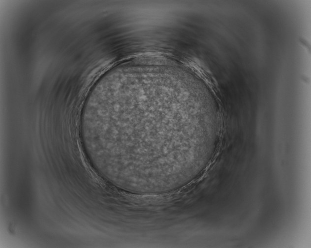 X0000091850001200709261217