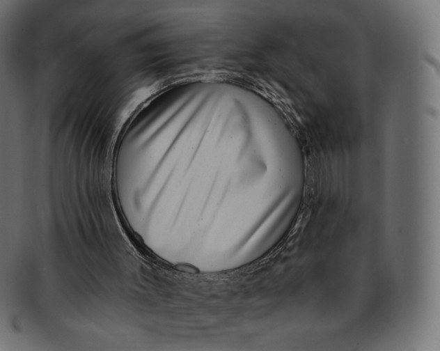 X0000091850003200709261216