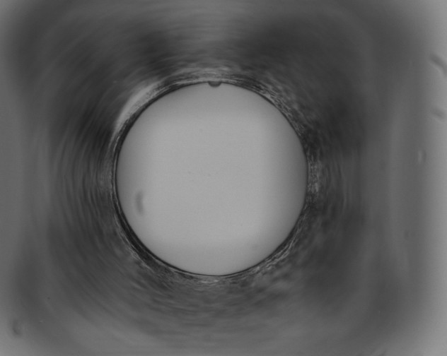 X0000091850004200709261216