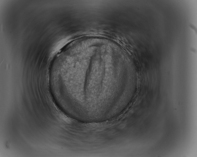 X0000091850005200709261216
