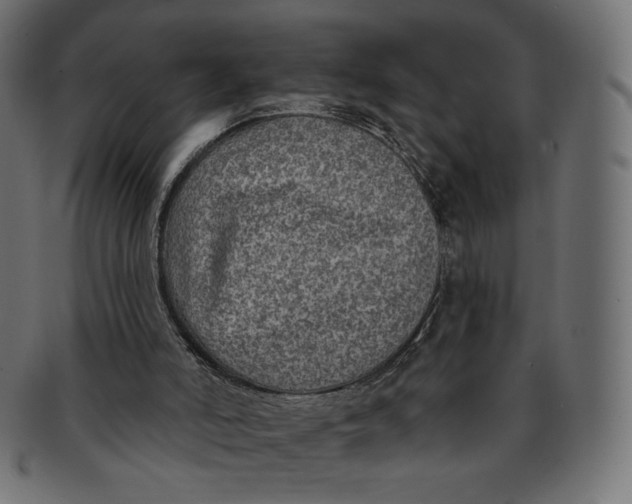 X0000091850006200709261216