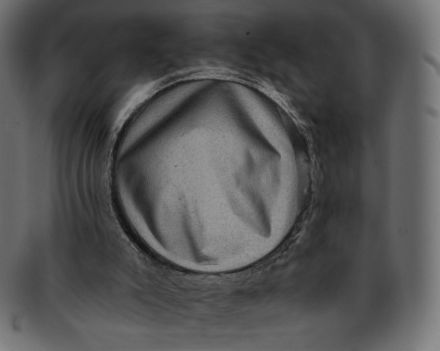 X0000091850007200709261216
