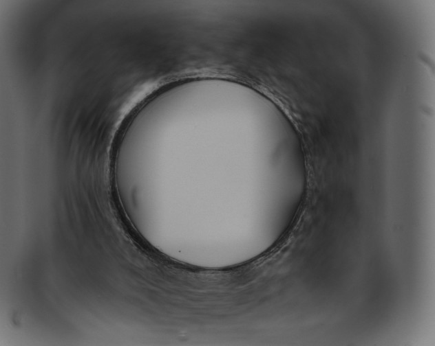 X0000091850008200709261216