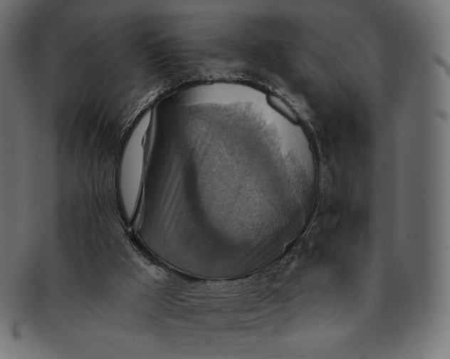 X0000091850009200709261216