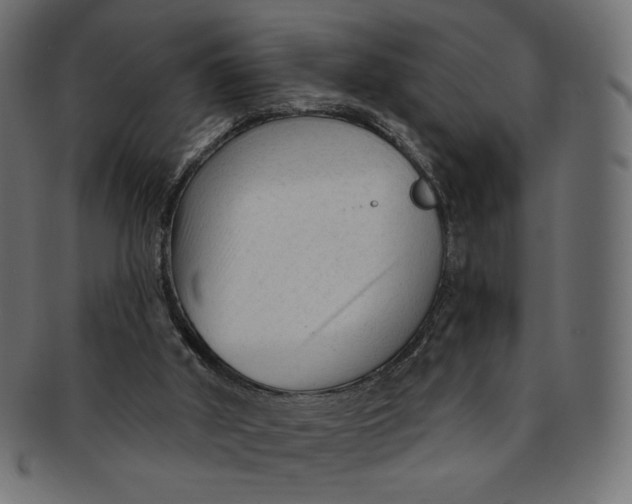 X0000091850010200709261216