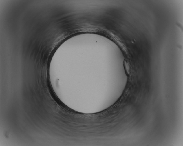 X0000091850011200709261216
