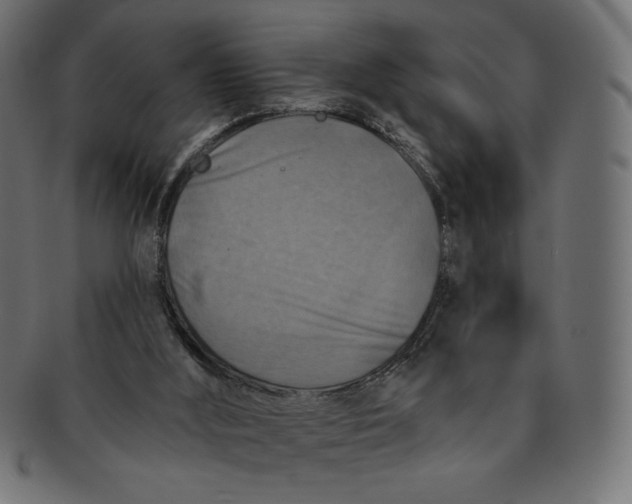 X0000091850012200709261216
