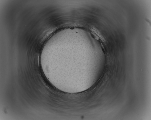 X0000091850014200709261216