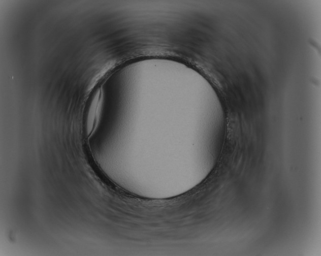 X0000091850015200709261216