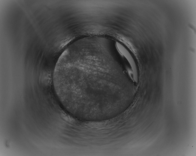 X0000091850017200709261216
