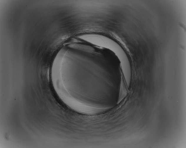 X0000091850019200709261216