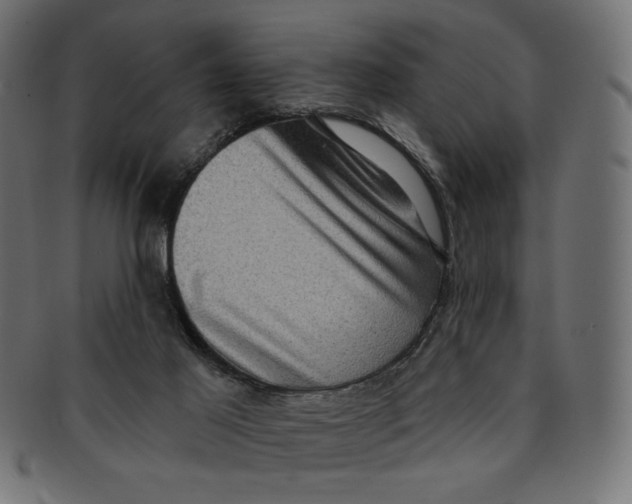 X0000091850021200709261216