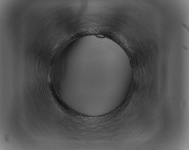 X0000091850023200709261216