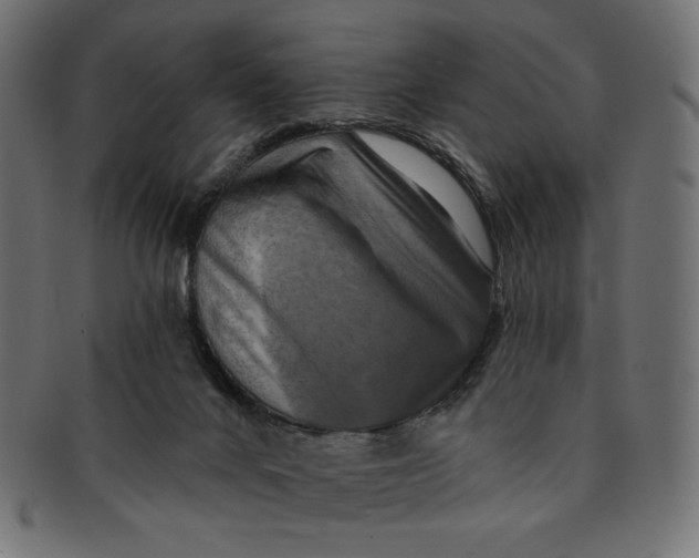 X0000091850024200709261216