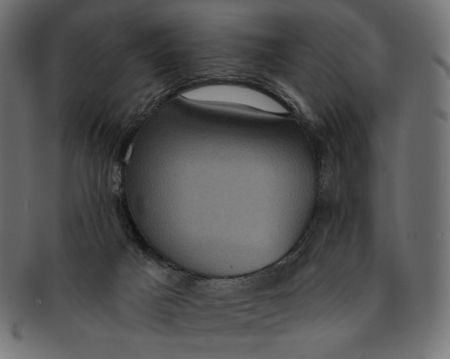 X0000091850025200709261216