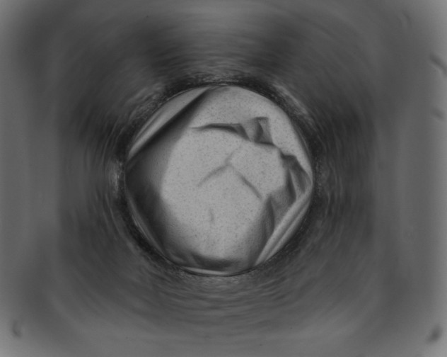 X0000091850026200709261216