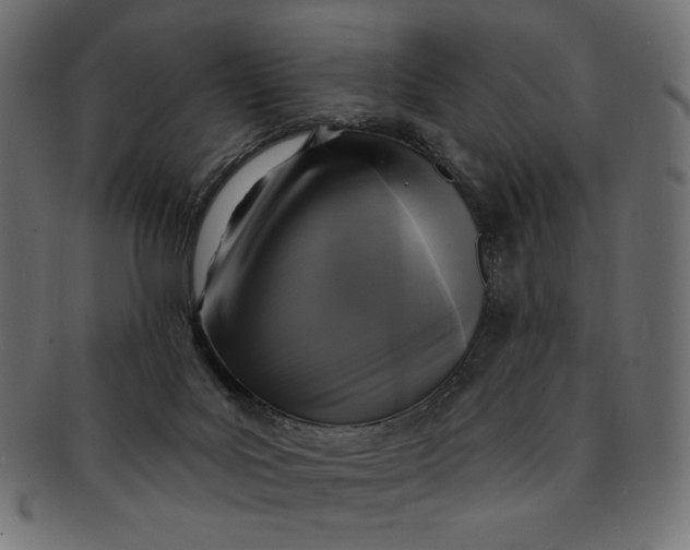 X0000091850027200709261216