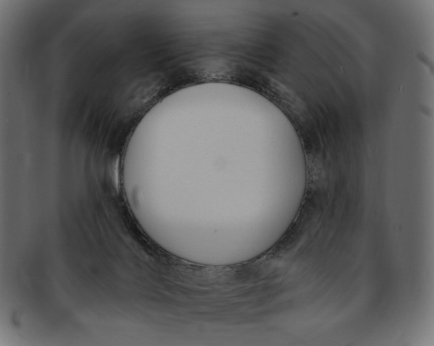 X0000091850028200709261216