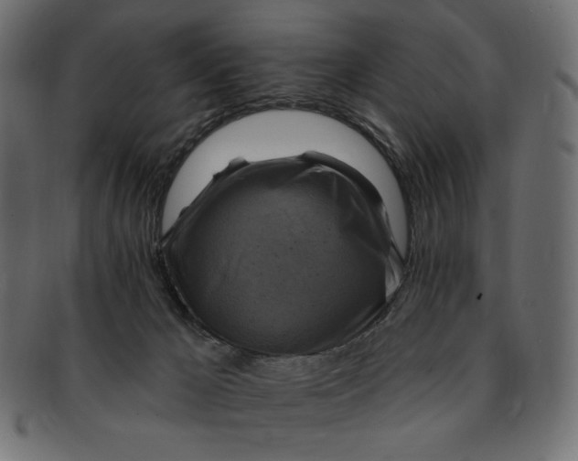 X0000091850029200709261216