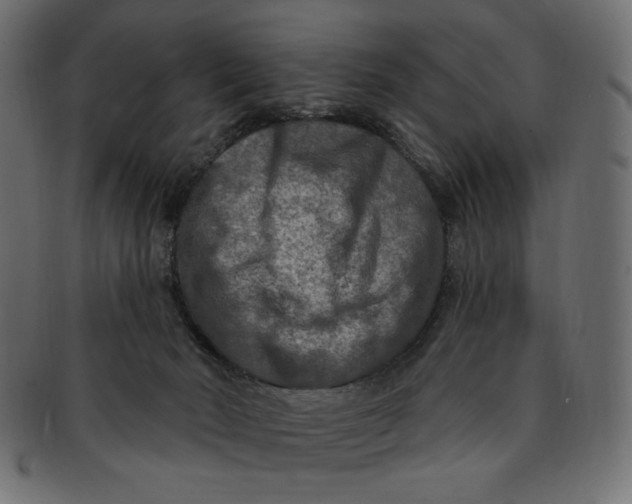X0000091850030200709261216