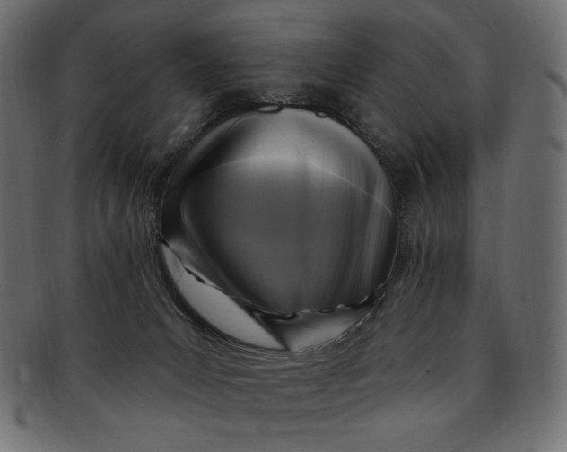 X0000091850031200709261216
