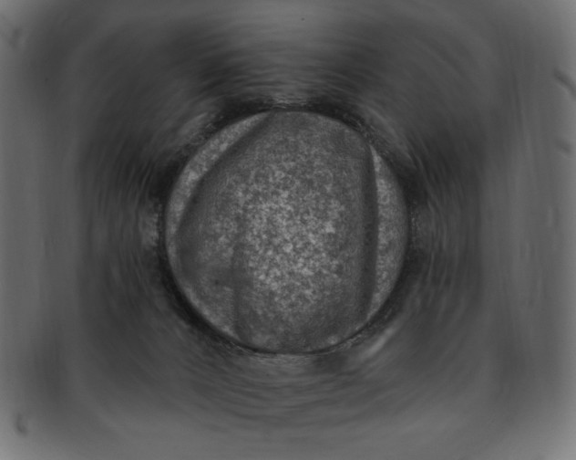 X0000091850032200709261216
