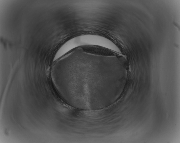 X0000091850033200709261216