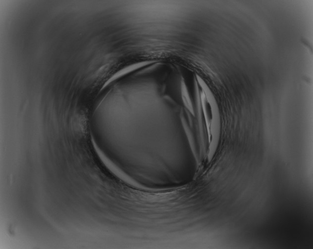 X0000091850035200709261216