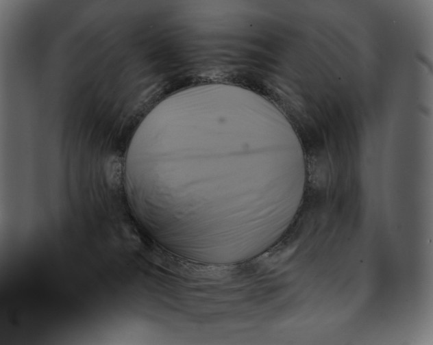 X0000091850036200709261216