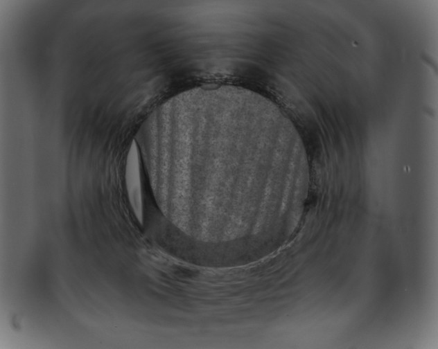 X0000091850037200709261216
