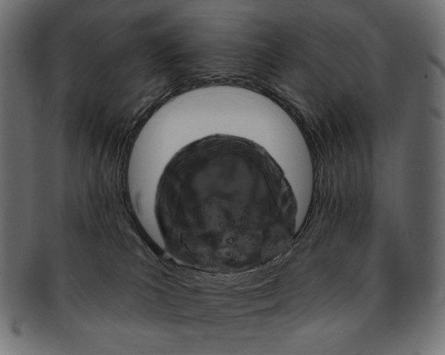 X0000091850039200709261216