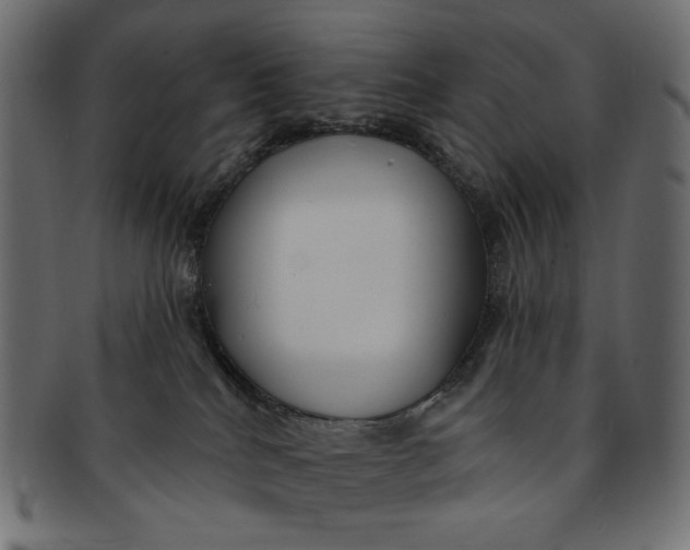 X0000091850040200709261216