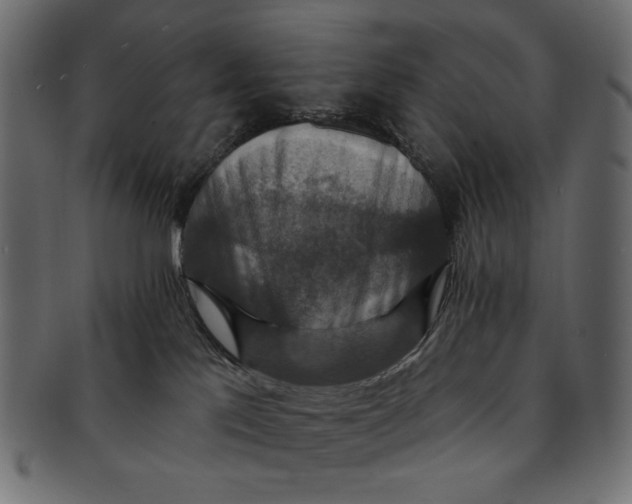 X0000091850041200709261216