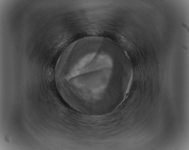 X0000091850043200709261216
