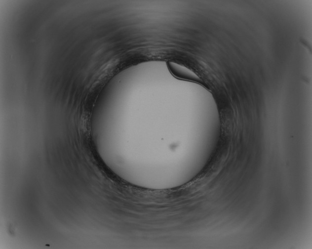 X0000091850044200709261216