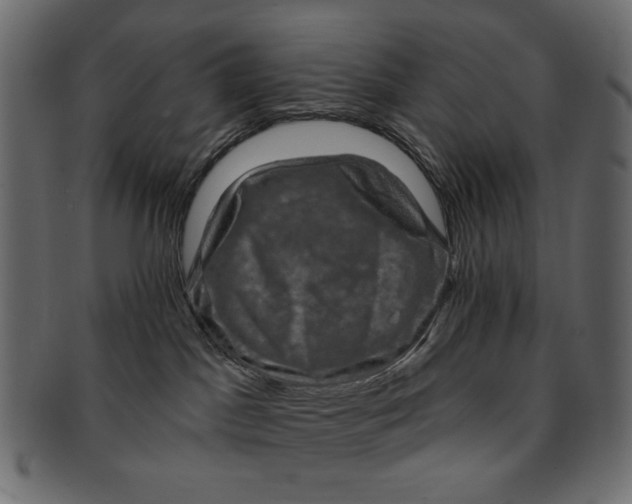 X0000091850045200709261216