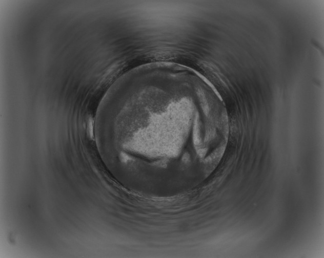 X0000091850046200709261216