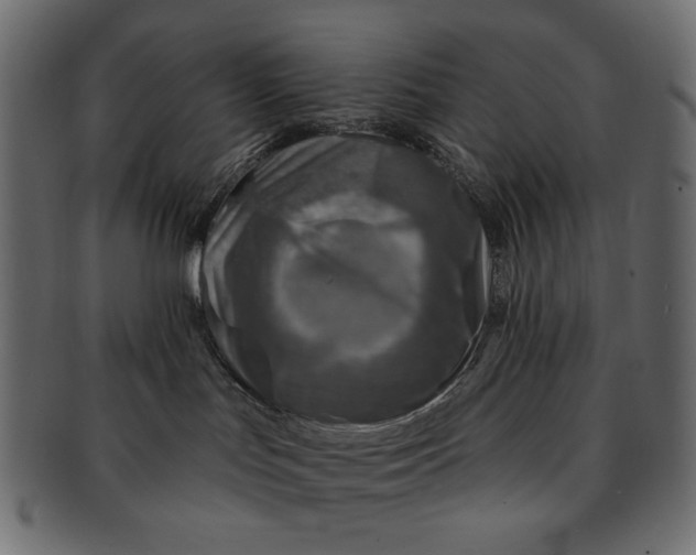 X0000091850047200709261216