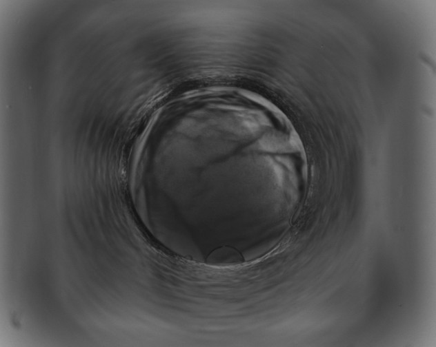 X0000091850048200709261216