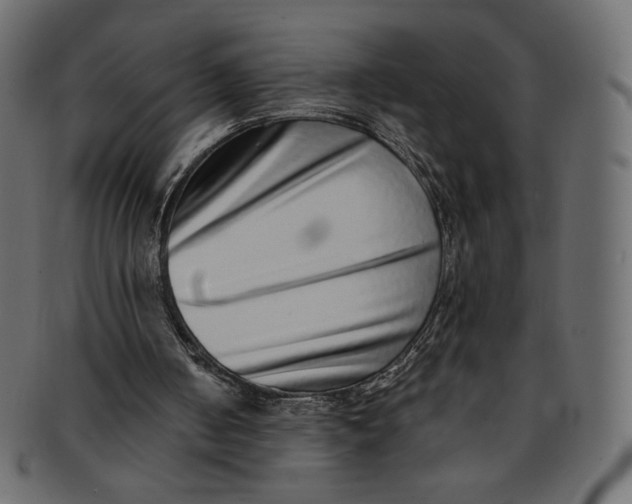 X0000091850050200709261215