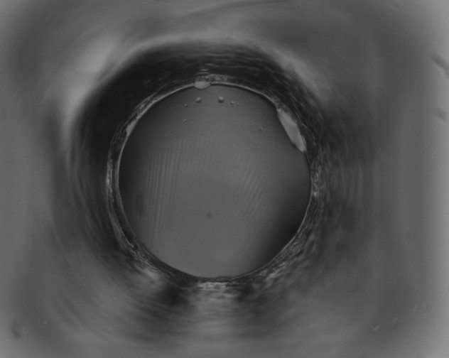 X0000091850052200709261215