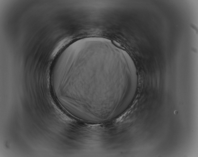 X0000091850054200709261215